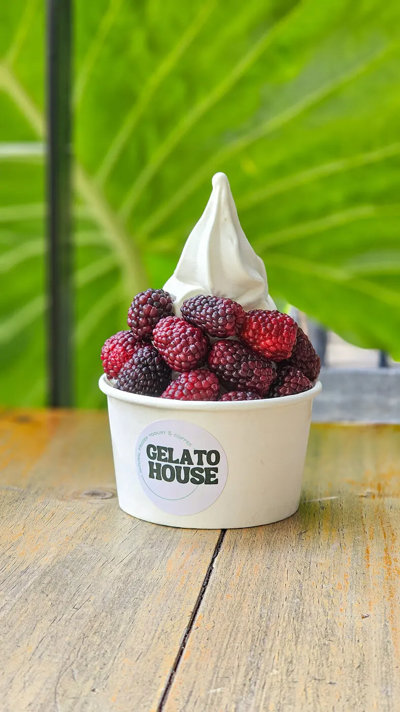 Vaso de Gelato House con helado de yogurt, frambuesas y moras